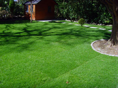 Garden landscaping in Croydon