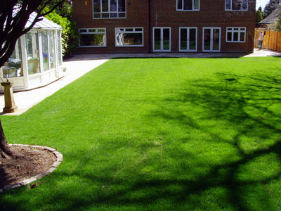 Landscape contractor in Croydon